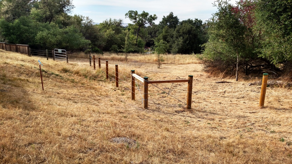 The completed new fence